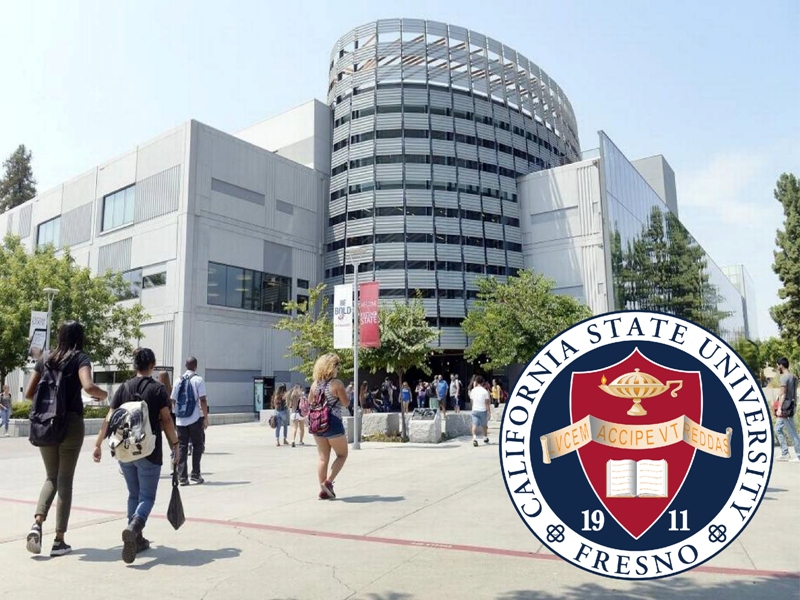 American University